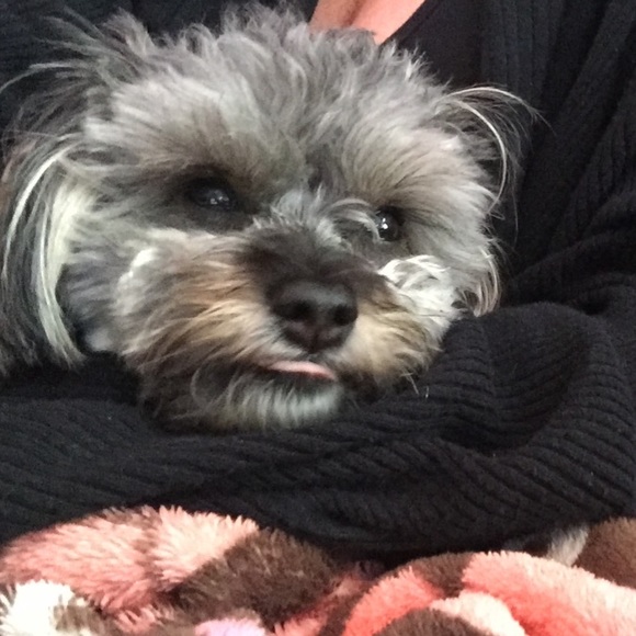 🦋 Hi! Just Me...🦋 - Picture 2 of 11